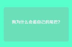 狗为什么会追自己的尾巴？