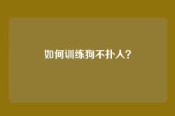 如何训练狗不扑人？