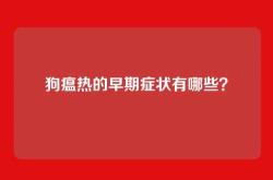 狗瘟热的早期症状有哪些？