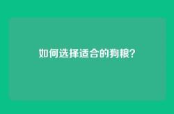 如何选择适合的狗粮？