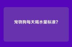 宠物狗每天喝水量标准？