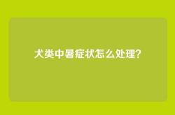 犬类中暑症状怎么处理？