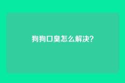 狗狗口臭怎么解决？