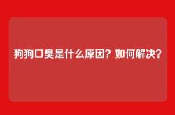 狗狗口臭是什么原因？如何解决？