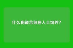 什么狗适合独居人士饲养？