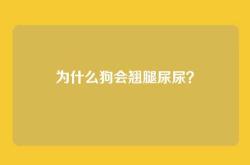 为什么狗会翘腿尿尿？