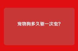 宠物狗多久驱一次虫？
