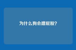 为什么狗会蹭屁股？