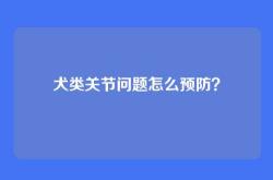 犬类关节问题怎么预防？