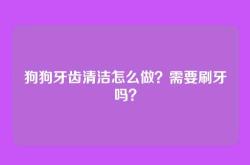 狗狗牙齿清洁怎么做？需要刷牙吗？