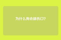 为什么狗会舔伤口？