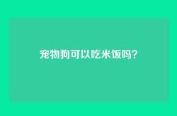 宠物狗可以吃米饭吗？
