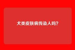 犬类皮肤病传染人吗？