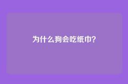 为什么狗会吃纸巾？