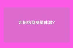 如何给狗测量体温？