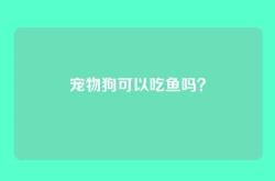 宠物狗可以吃鱼吗？