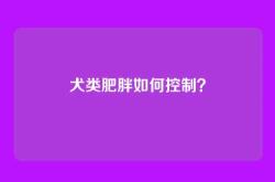 犬类肥胖如何控制？