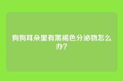 狗狗耳朵里有黑褐色分泌物怎么办？