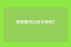 宠物狗可以吃牛肉吗？