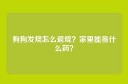 狗狗发烧怎么退烧？家里能备什么药？