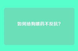 如何给狗喂药不反抗？