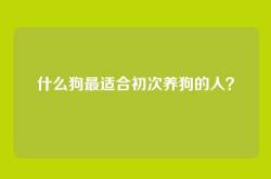 什么狗最适合初次养狗的人？