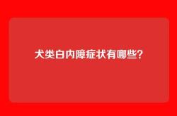犬类白内障症状有哪些？
