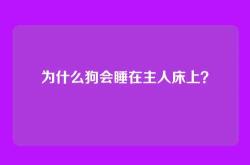 为什么狗会睡在主人床上？