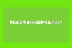 如何训练狗不随地捡东西吃？