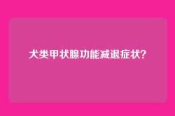 犬类甲状腺功能减退症状？