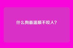 什么狗最温顺不咬人？