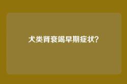 犬类肾衰竭早期症状？