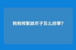 狗狗频繁舔爪子怎么回事？