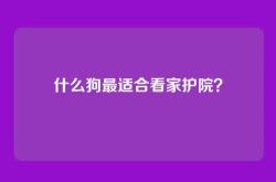 什么狗最适合看家护院？