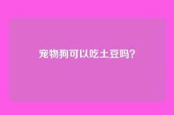 宠物狗可以吃土豆吗？