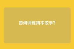 如何训练狗不咬手？