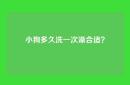 小狗多久洗一次澡合适？