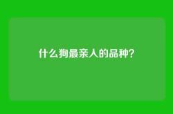 什么狗最亲人的品种？