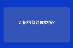 如何给狗处理烫伤？