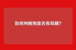 如何判断狗是否有耳螨？