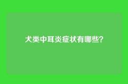 犬类中耳炎症状有哪些？