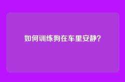 如何训练狗在车里安静？