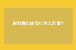 狗狗脚趾间发红怎么回事？