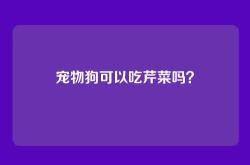 宠物狗可以吃芹菜吗？