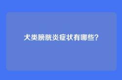 犬类膀胱炎症状有哪些？