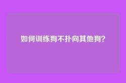 如何训练狗不扑向其他狗？
