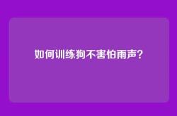 如何训练狗不害怕雨声？