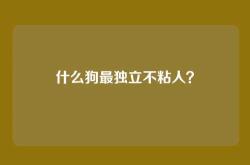 什么狗最独立不粘人？