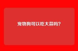 宠物狗可以吃大蒜吗？