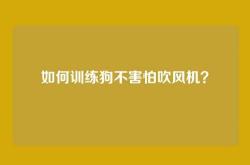 如何训练狗不害怕吹风机？